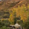 Отель Discovery Parks - Alice Springs, фото 22