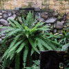 Отель Apartamentos El Castillo, фото 25