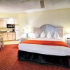 Отель Bahama House - 3 Nights, Daytona Beach, USA, фото 3