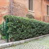 Отель Rental In Rome Roman Forum Apartment, фото 12
