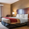 Отель Comfort Inn East, фото 7