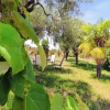 Отель Scenic Kriopigi Getaway - Cozy Anna-maria Apartment for 4, фото 17