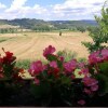 Отель Podere Lamaccia, фото 8