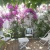 Отель Calvi, Maison de charme, Jardin, plage 150 mètres., фото 27
