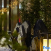 Отель Radisson Blu Hotel, Tongzhou, фото 9
