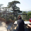 Отель Icolor Dalat Hostel, фото 8