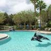 Отель Hilton Garden Inn Orlando at SeaWorld, фото 20