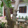 Отель Mango House, фото 19
