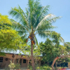 Отель ZEN Home Villa Tepi Bendang, фото 27