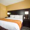 Отель Comfort Suites Lake Ray Hubbard, фото 6