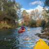 Отель Discovery Parks - Mount Buffalo, фото 19