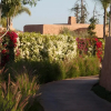 Отель Oasis Lodges, фото 18