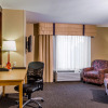Отель Cambria Suites Appleton, фото 6