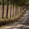 Отель Agriturismo La Pieve, фото 7