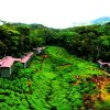 Отель The Rainforest Ecolodge, фото 26