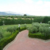 Отель Villa Santa Maria, фото 15