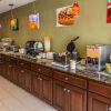 Отель Quality Inn & Suites South, фото 14