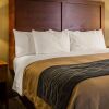 Отель Comfort Inn, фото 6