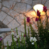 Отель Villa Panorma, фото 20