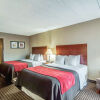 Отель Comfort Inn & Suites, фото 3