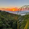 Отель Villa Caribbean Dream, фото 17