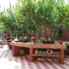 Отель Riad les jardins Mabrouk, фото 15