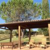 Отель Agriturismo Podere del Vescovo, фото 10