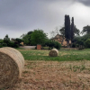 Отель Agriturismo Il Truffarello, фото 11