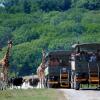 Отель Port Lympne (Zoo Park), фото 27