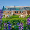 Отель Nedous Hotel Gulmarg, фото 12