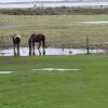 Отель Sea View Cottage Lake District Coast, Haverigg, фото 17