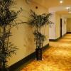 Отель GreenTree Inn BoZhou GuoYang County ShengLi Road FuYang Commercial Building Express Hotel, фото 16