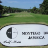 Отель Montego Bay-Island Escape-Free-Shuttle, фото 1