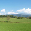Отель Landgasthof Neuwirt, фото 24