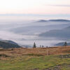 Отель Schwarzwaldblick Bernau im Schwarzwald, фото 33