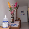 Отель Mesovia B&B, фото 10