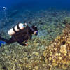 Отель Kaanapali Shores 418, фото 14
