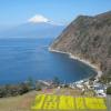 Отель Marin View, фото 30