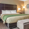 Отель Comfort Inn, фото 2