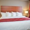 Отель Best Western Thompson Hotel & Suites, фото 12