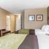 Отель Comfort Inn & Suites Piqua-Near Troy-I75, фото 3