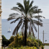 Отель Palazzo De Donno App No04, фото 1