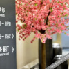 Отель New Century Manju Hotel (Zhili Huide Internationali), фото 7