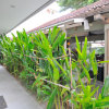 Отель Airy Kuta Nyangnyang Sari 7 Bali, фото 14