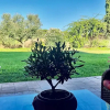 Отель Tuscan Villa 5mins From Beach, Sleeps 8, ev Point, фото 18