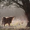 Отель Bloemendaal, фото 16