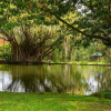 Отель Villa el Bosque La Fortuna, фото 24