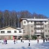 Отель Chalet Il Cristallo, фото 1