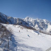 Отель Hakuba Goryu Pension Kurumi, фото 11