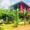Отель Guest House Pura Vida, фото 26